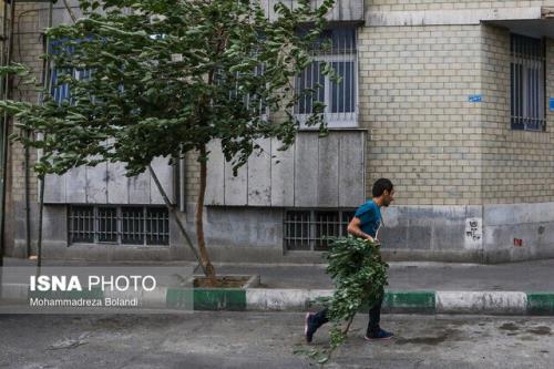 وزش باد شدید و رگبار در تهران