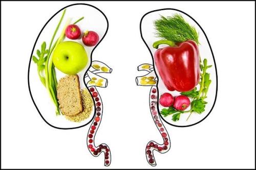 کلید مدیریت بهتر بیماریهای کلیوی